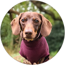 bernard K. profile picture