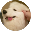 Tm Ong profile picture